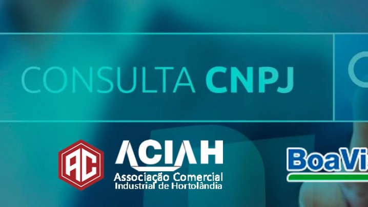 Consulta CNPJ